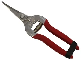 sutterbros-220260704205944209230